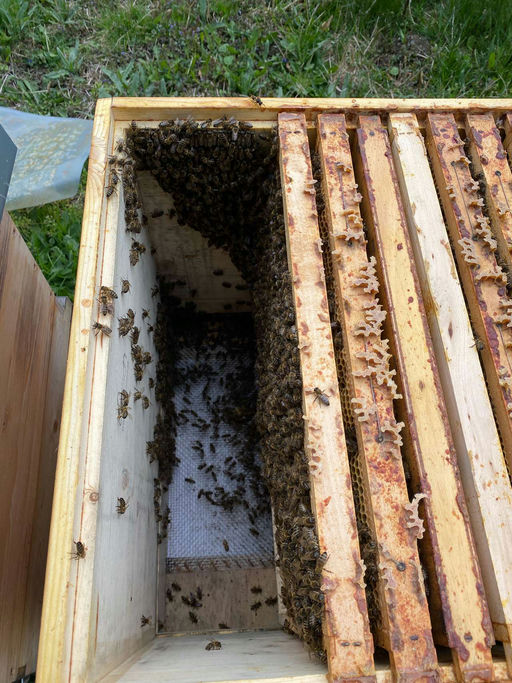 Erweiterung bereits im März Bild 2