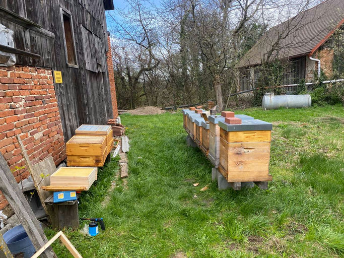 Erweiterung bereits im März Bild 4