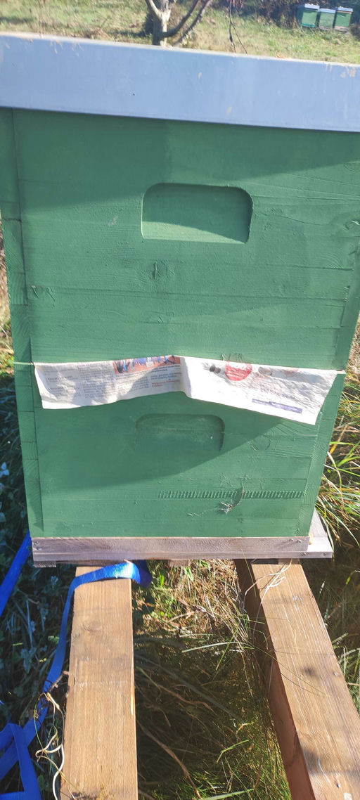 Vorbereitung für den Winter