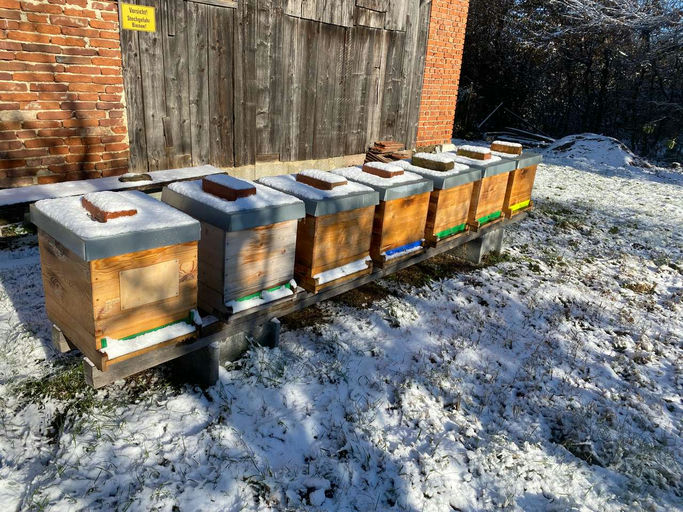 Winterbehandlung gegen die Varoamilbe Bild 6