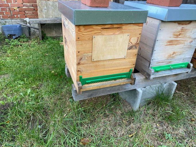 Winterbehandlung gegen die Varoamilbe Bild 8