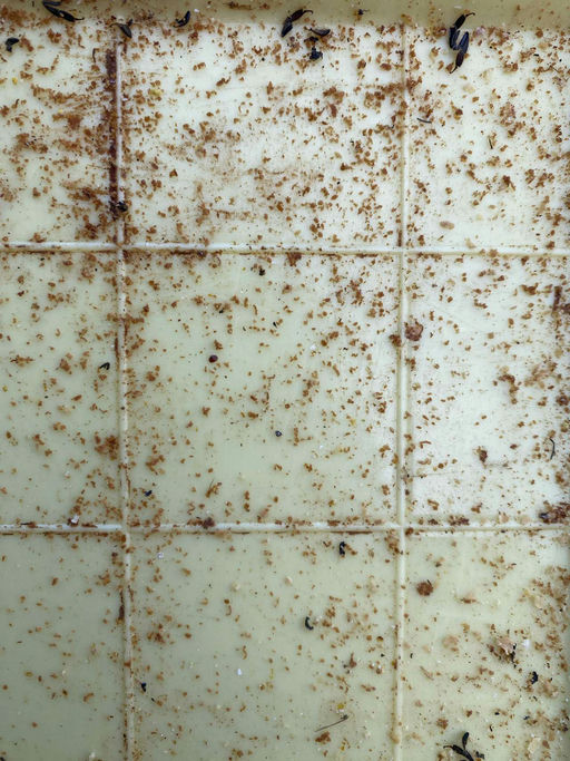 Winterbehandlung gegen die Varoamilbe Bild 9