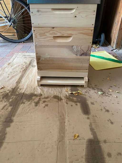 Juhu Felix Austria sponsert ein Bienen Volk!