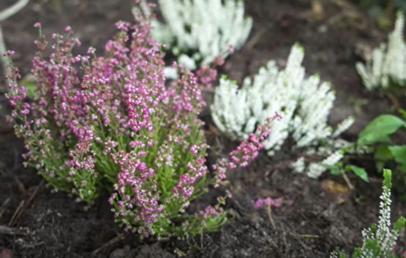 Es wird kalt, Kuschelzeit!