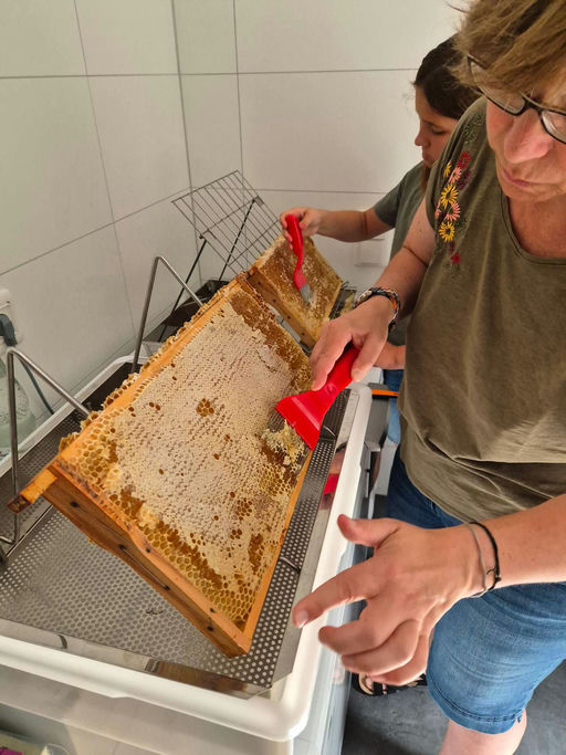 Es ist Erntezeit Bild 2