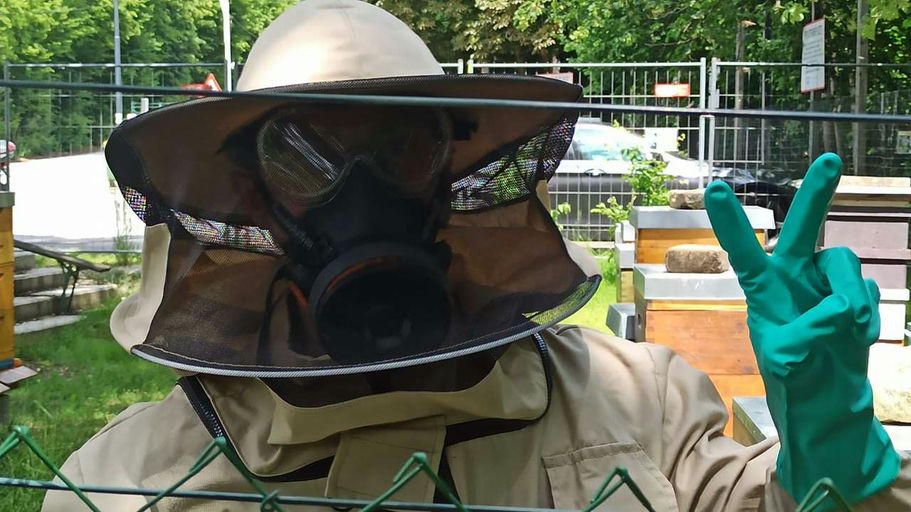 Sommerbehandlung Varroa