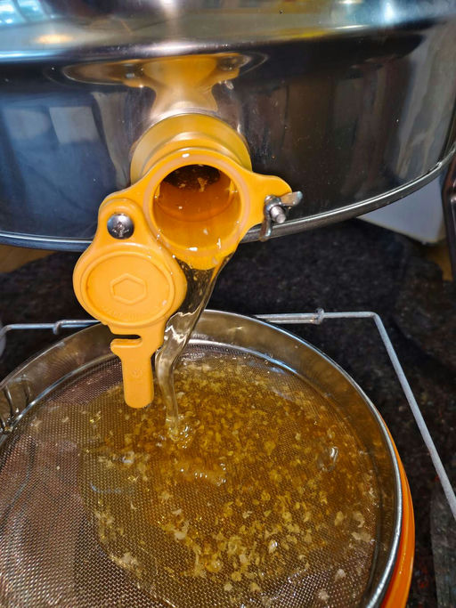 Der Höhepunkt der Saison Bild 2