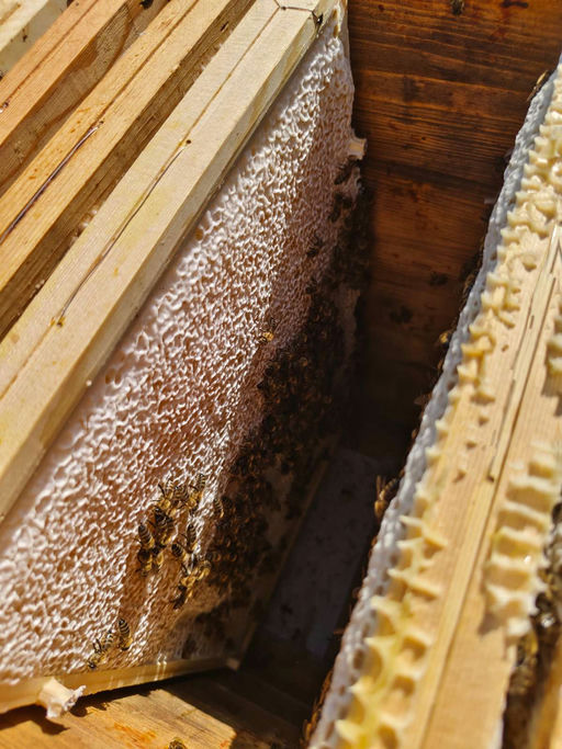 Der Höhepunkt der Saison Bild 3