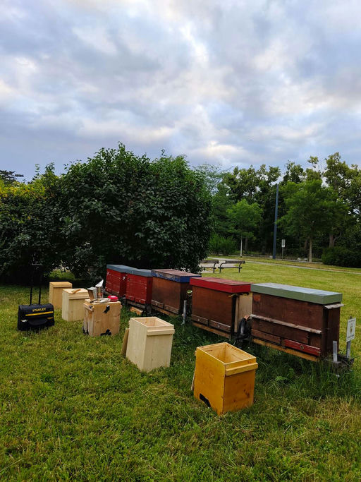 Der Höhepunkt der Saison Bild 4