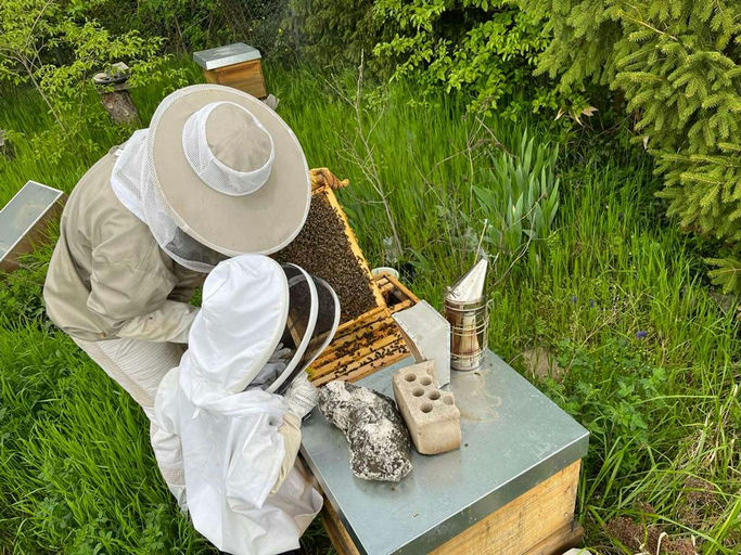 Auf die Plätze, fertig, los - der Honigraum kommt drauf! Bild 3