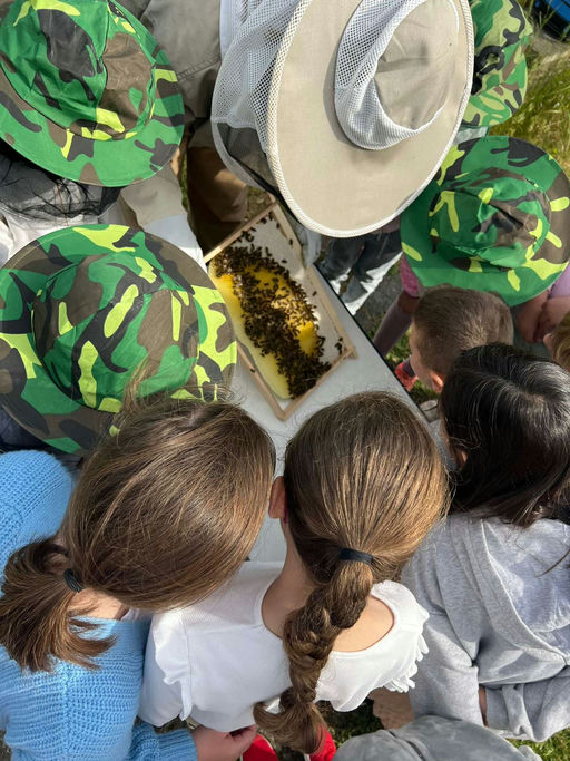 Aufregender Mai Bild 1