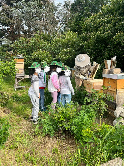 Aufregender Mai Bild 2