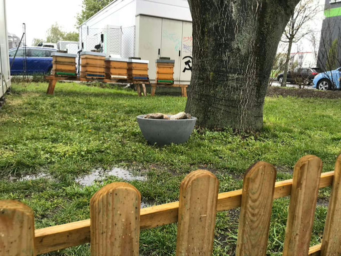 SIMACEK summt! Bild 1