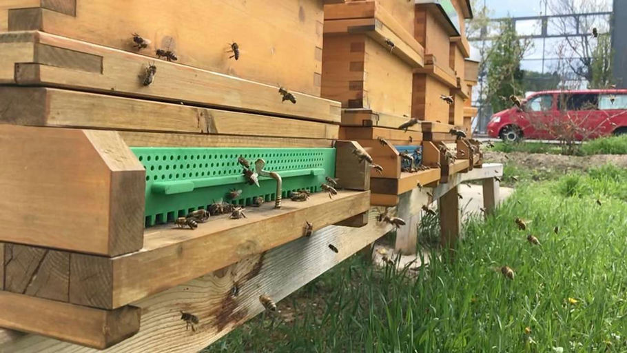 SIMACEK summt! Bild 3