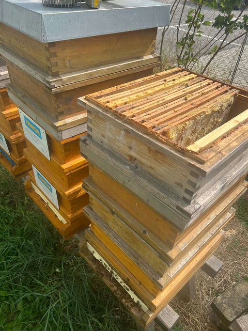 Oh mein Gott, sooooooo lecker! Bild 2