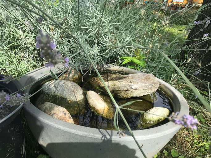 Oh mein Gott, sooooooo lecker! Bild 5