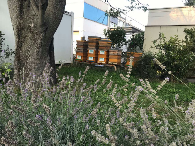 Oh mein Gott, sooooooo lecker! Bild 6