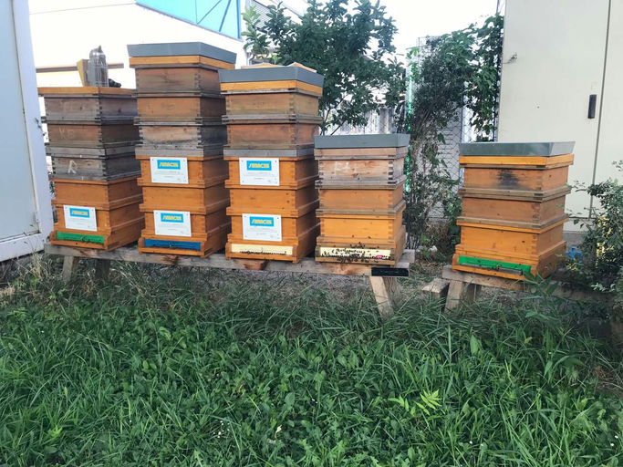 Oh mein Gott, sooooooo lecker! Bild 8