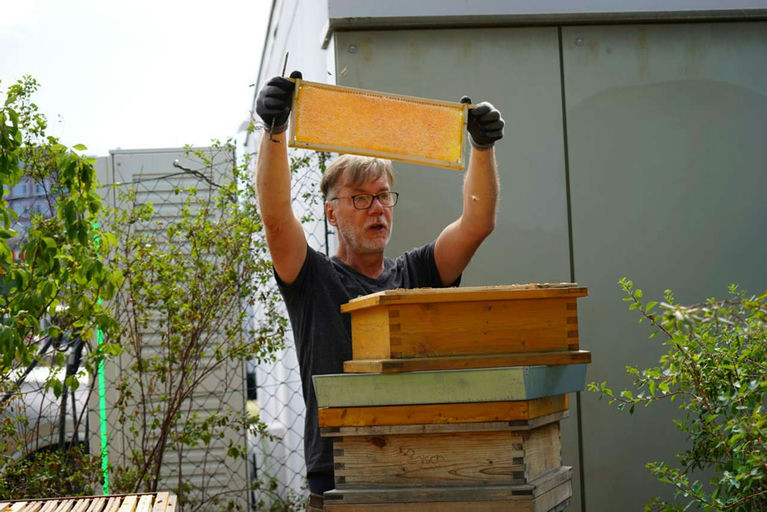 Honigernte - Mmmmm Lecker! Bild 10