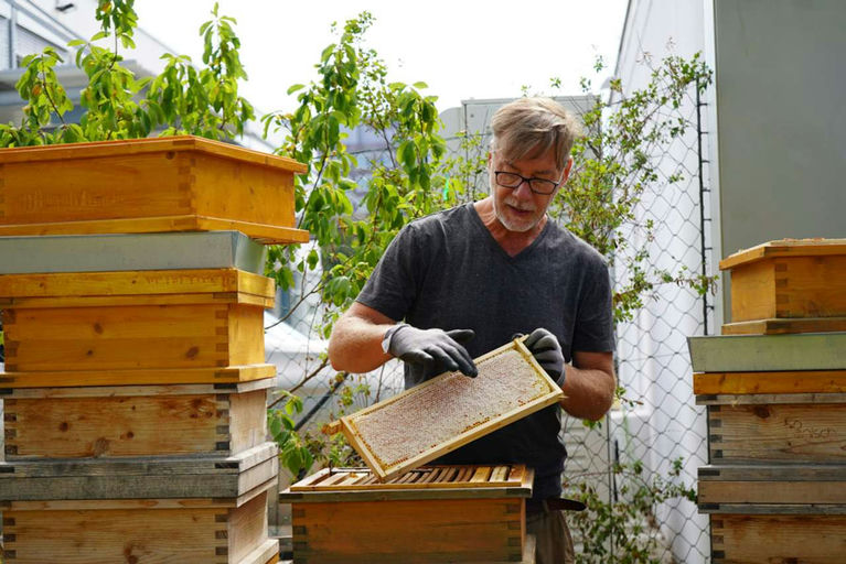 Honigernte - Mmmmm Lecker! Bild 11