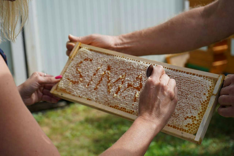 Honigernte - Mmmmm Lecker! Bild 13