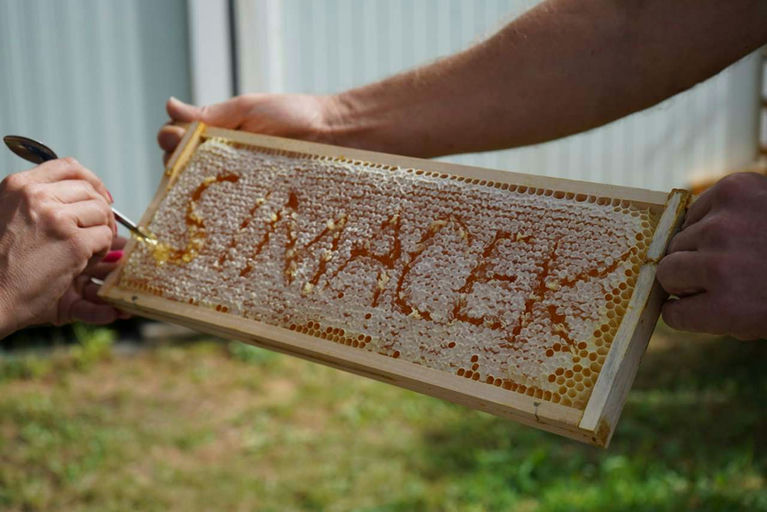 Honigernte - Mmmmm Lecker! Bild 14