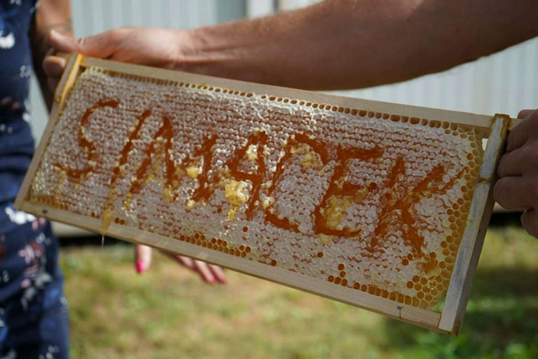 Honigernte - Mmmmm Lecker! Bild 15