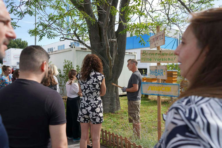 Honigernte - Mmmmm Lecker! Bild 2