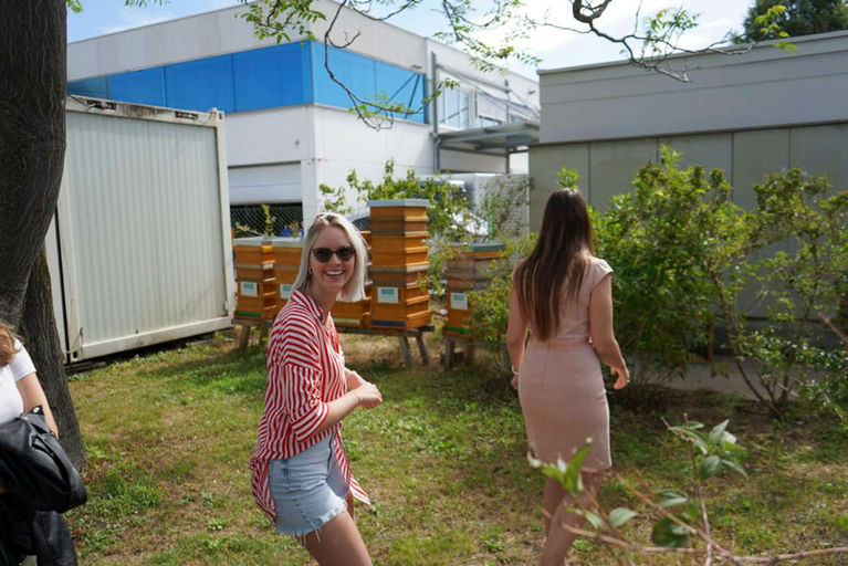 Honigernte - Mmmmm Lecker! Bild 3