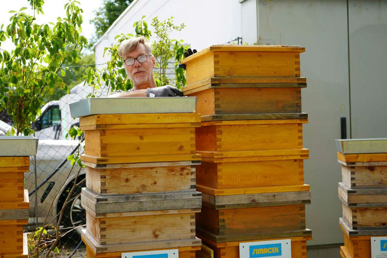 Honigernte - Mmmmm Lecker! Bild 5