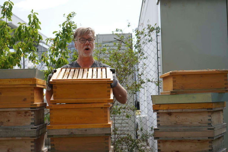 Honigernte - Mmmmm Lecker! Bild 7