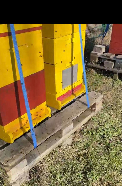 Der Erste (Aus-)Flug