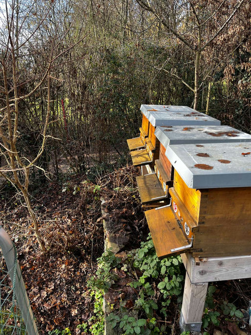 Hurra, alle Völker leben noch - Reinigungsflug im Januar