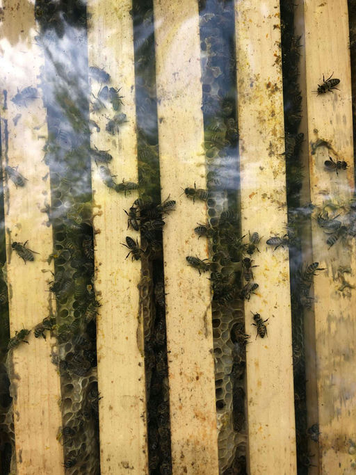 Teilen und Behandeln Teil 2