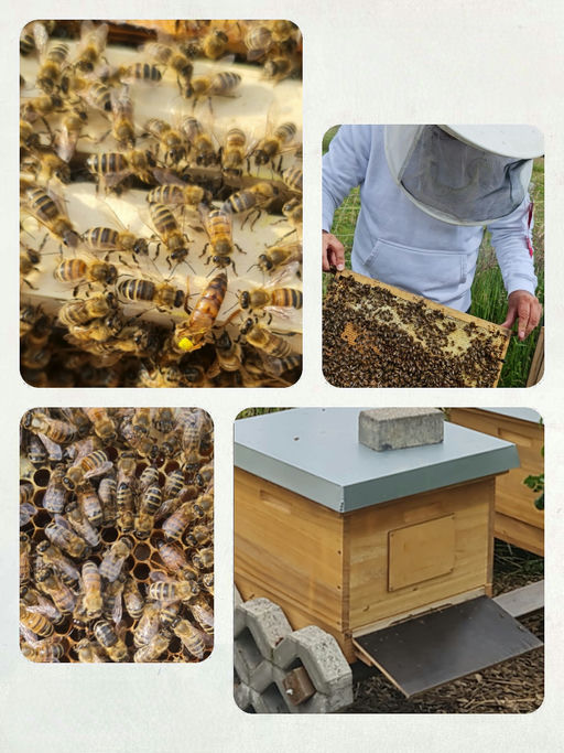 Danke für die Zusammenarbeit