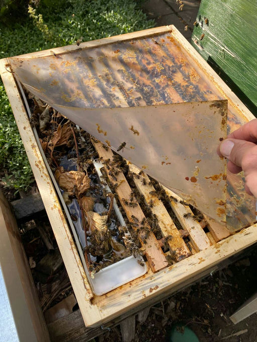 Ausfüttern für den Winter