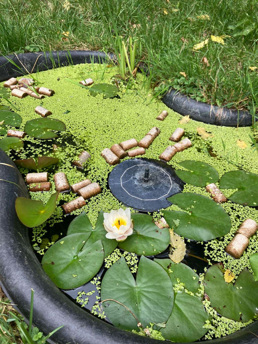 Es ist noch warm ...