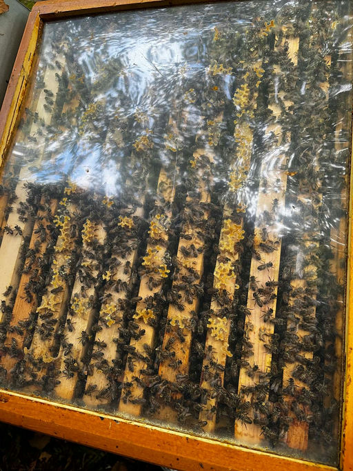 Nachschau im Februar - Alles super!