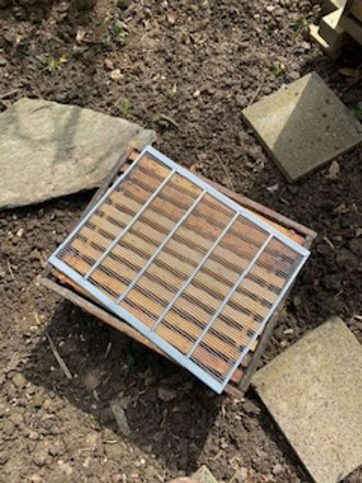 Das Volk baut sich auf