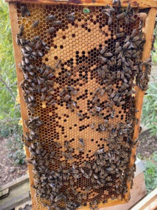 Das Volk baut sich auf Bild 1