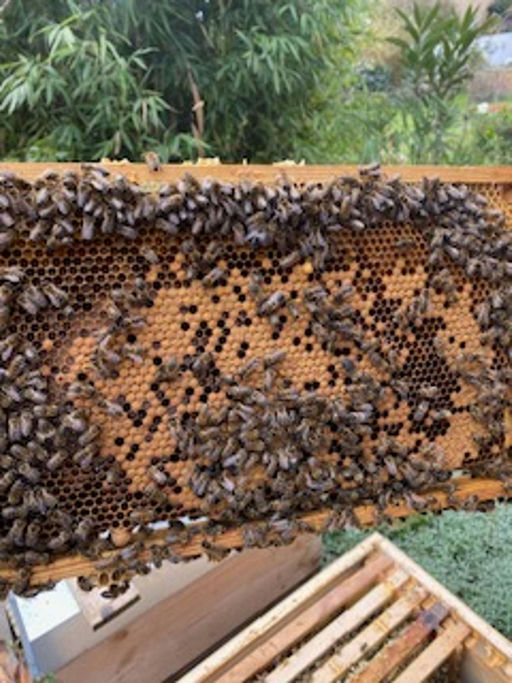 Das Volk baut sich auf Bild 2