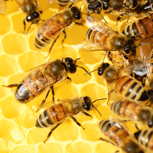 November: Vorbereitung auf den Winter