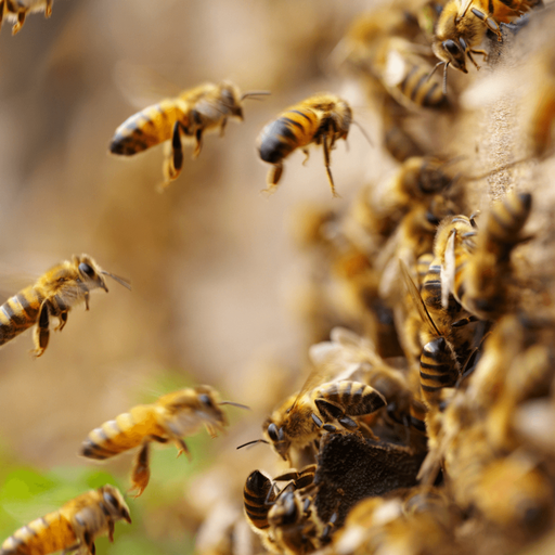 Januar: Überwintern