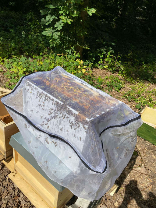 Durchsicht nach dem Urlaub