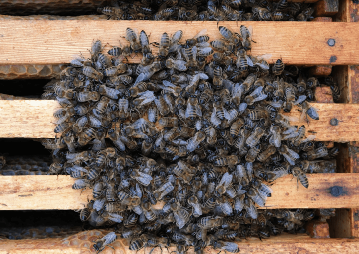 Der März - was passiert im Moment?