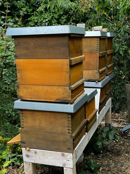 Teilen und Behandeln