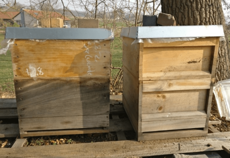 Die kalte Jahreszeit