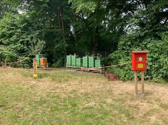 Ade Bienenstand ... der Winter naht