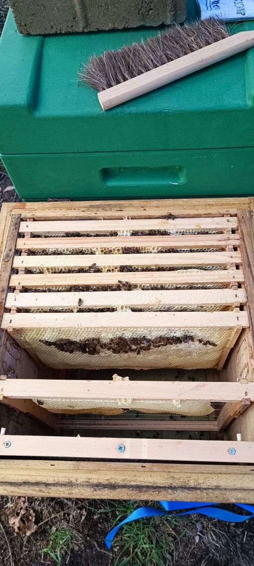 Lasset die Spiele beginnen Bild 1