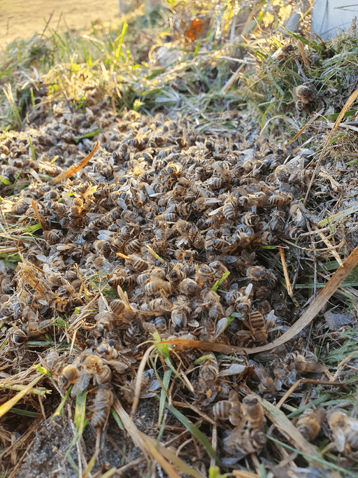 Winterarbeiten Bild 1